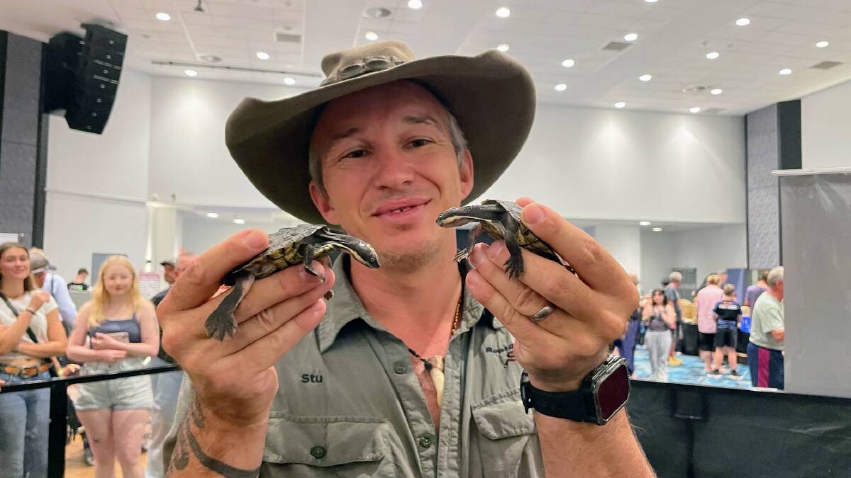 North Coast Herpetology Group president and Reptile Solutions handler Stuart Johnson with Bellinger River Snapping Turtles Raphael and Donatello. Picture by Emily Walker
