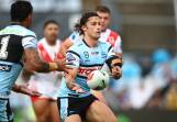 Cronulla's Nicho Hynes is the latest to be struck by NSW's Origin injury curse. (HANDOUT/NRL PHOTOS)